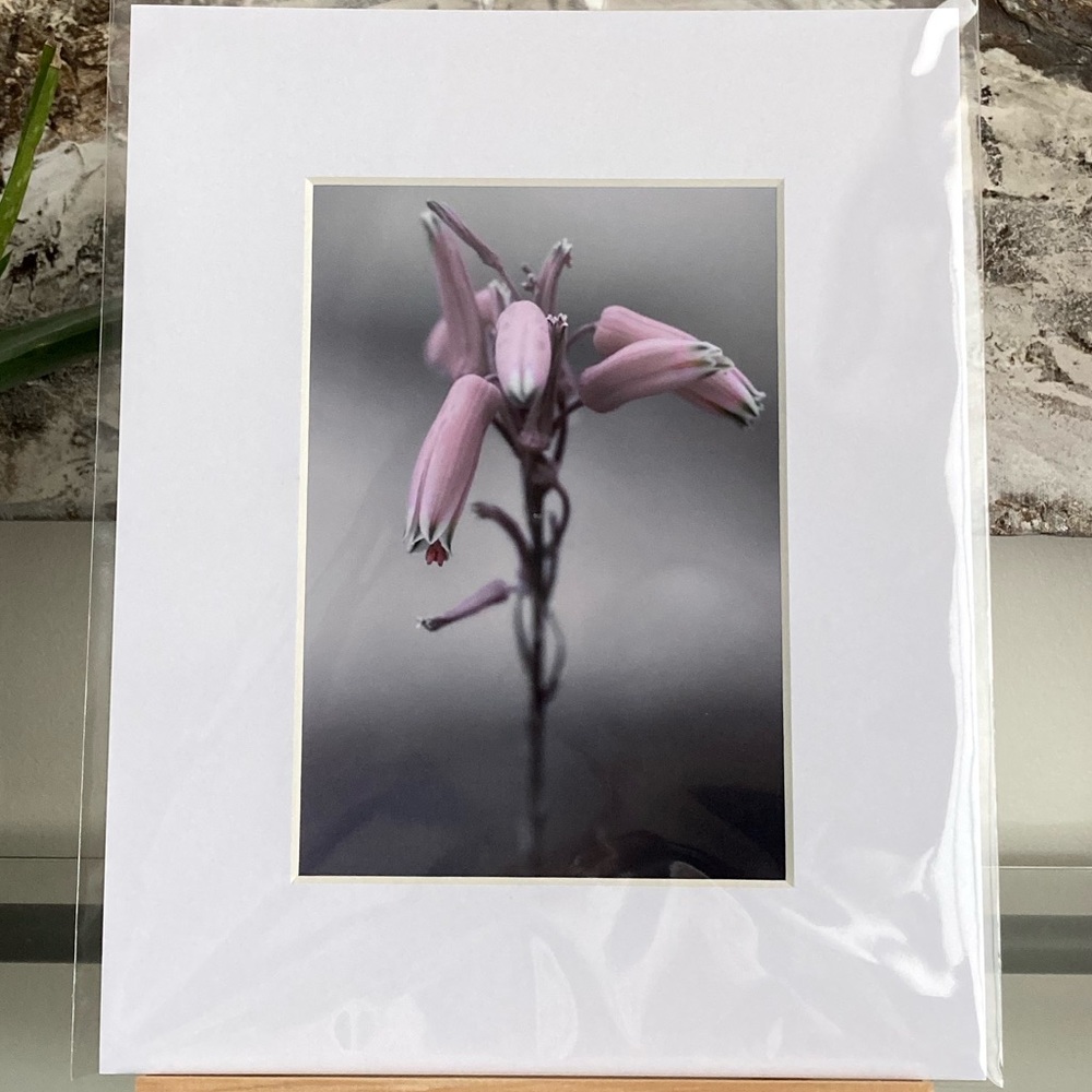 ❌SOLD❌”THIS STRANGE ISOLATION” ~ ORIGINAL ART by @lisamichellebeckerphotography - Picture 11 of 13